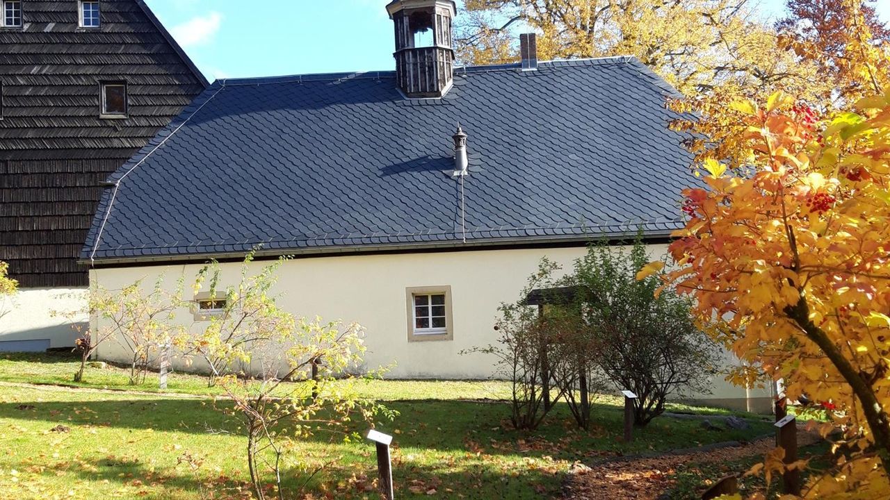 20201024_114243_resized 20201024_114243_resized